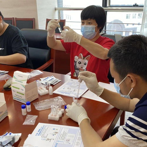 商会举办 食品安全检测技术 培训班,以技术支持为行业发展增添新动能