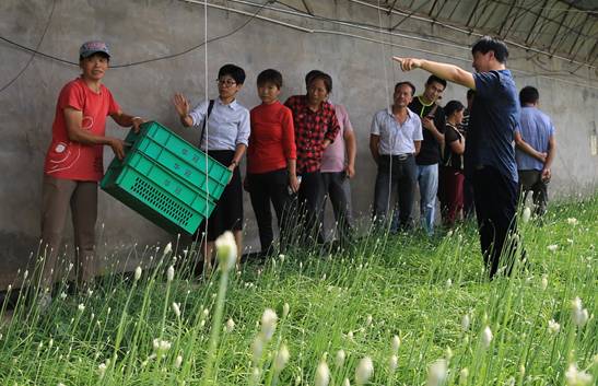 北京优质农产品产销服务站走进田间地头为农户做培训