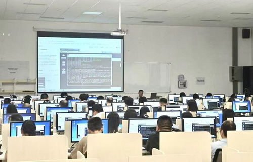 重庆创新特色培育机制让数字技术工程师想为 能为 敢为