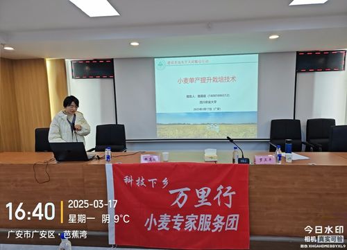 我校小麦专家在广安开展 天府粮仓 百县千片 小麦生产技术 培训会