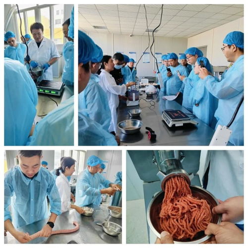 香肠加工技术培训班在烟台成功举办 理论与实操结合助力学员掌握全套技术